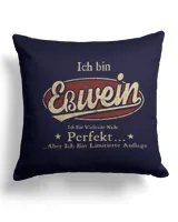 Cotton Drill Pillow (Dual Sided) Cotton Drill Pillow (Dual Sided)