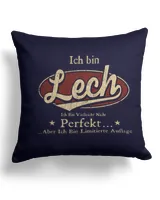 Cotton Drill Pillow (Dual Sided)