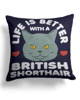 Cotton Drill Pillow (Dual Sided)