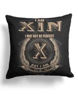 Cotton Drill Pillow (Dual Sided)