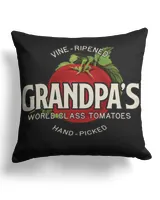 Cotton Drill Pillow (Dual Sided)