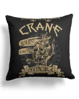 Cotton Drill Pillow (Dual Sided)
