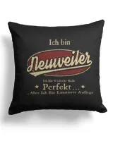 Cotton Drill Pillow (Dual Sided) Cotton Drill Pillow (Dual Sided)