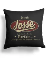 Cotton Drill Pillow (Dual Sided) Cotton Drill Pillow (Dual Sided)