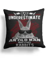 Cotton Drill Pillow (Dual Sided)