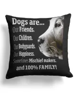 Cotton Drill Pillow (Dual Sided)
