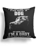 Cotton Drill Pillow (Dual Sided)