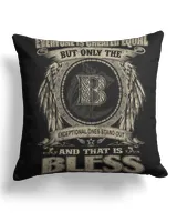 Cotton Drill Pillow (Dual Sided)