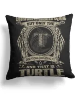 Cotton Drill Pillow (Dual Sided)