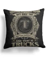 Cotton Drill Pillow (Dual Sided)