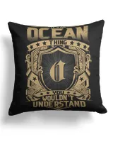 Cotton Drill Pillow (Dual Sided)