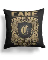 Cotton Drill Pillow (Dual Sided)