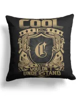 Cotton Drill Pillow (Dual Sided)