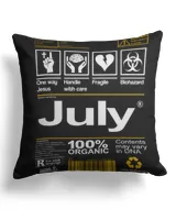 Cotton Drill Pillow (Dual Sided)