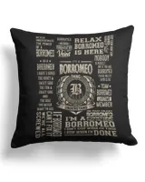 Cotton Drill Pillow (Dual Sided)