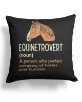 Cotton Drill Pillow (Dual Sided)