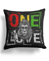 Cotton Drill Pillow (Dual Sided)