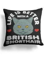 Cotton Drill Pillow (Dual Sided)
