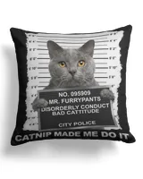 Cotton Drill Pillow (Dual Sided)