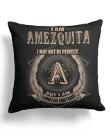 Cotton Drill Pillow (Dual Sided)