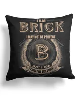 Cotton Drill Pillow (Dual Sided)