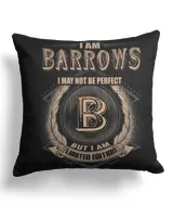 Cotton Drill Pillow (Dual Sided)