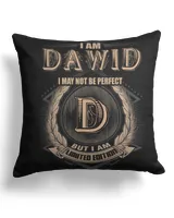 Cotton Drill Pillow (Dual Sided)