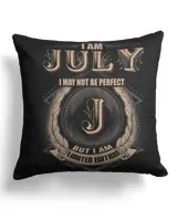 Cotton Drill Pillow (Dual Sided)