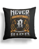 Cotton Drill Pillow (Dual Sided)