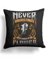 Cotton Drill Pillow (Dual Sided)