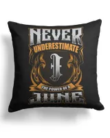 Cotton Drill Pillow (Dual Sided)