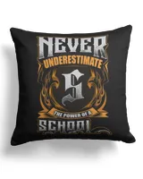 Cotton Drill Pillow (Dual Sided)