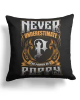 Cotton Drill Pillow (Dual Sided)
