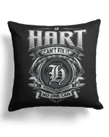 Cotton Drill Pillow (Dual Sided)