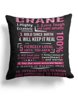 Cotton Drill Pillow (Dual Sided)