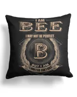 Cotton Drill Pillow (Dual Sided)