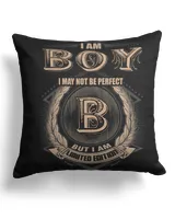 Cotton Drill Pillow (Dual Sided)