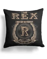 Cotton Drill Pillow (Dual Sided)