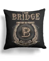 Cotton Drill Pillow (Dual Sided)