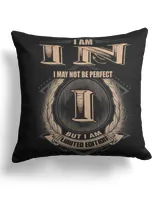 Cotton Drill Pillow (Dual Sided)