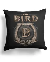 Cotton Drill Pillow (Dual Sided)
