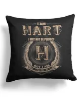 Cotton Drill Pillow (Dual Sided)