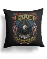 Cotton Drill Pillow (Dual Sided)