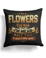 Cotton Drill Pillow (Dual Sided)