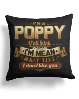 Cotton Drill Pillow (Dual Sided)