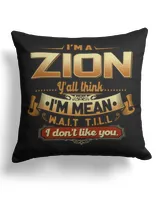 Cotton Drill Pillow (Dual Sided)