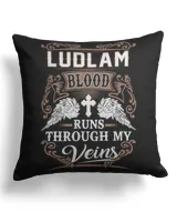 Cotton Drill Pillow (Dual Sided)