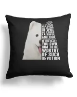 Cotton Drill Pillow (Dual Sided)
