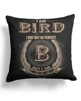 Cotton Drill Pillow (Dual Sided)