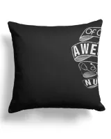 Cotton Drill Pillow (Dual Sided)
